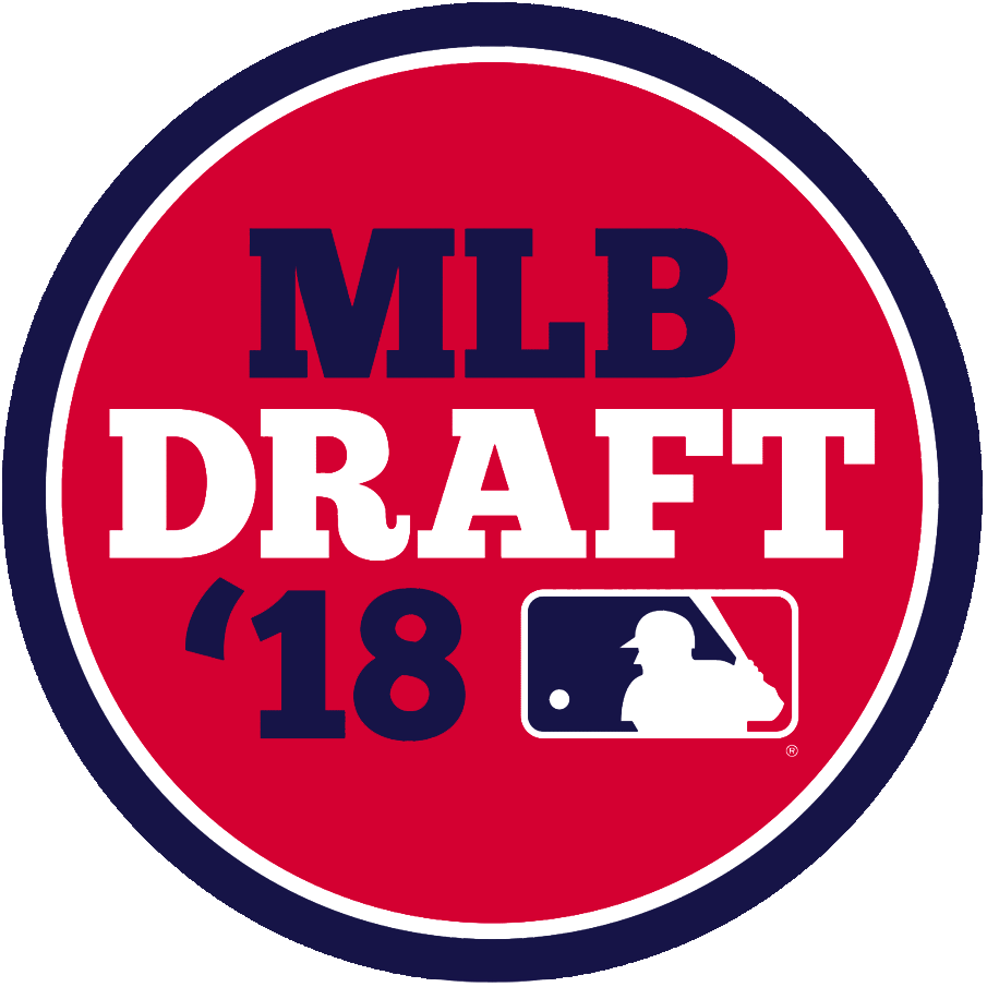 MLB Draft 2018 Primary Logo iron on transfers for clothing